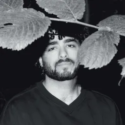 Fafi Abdel Nour